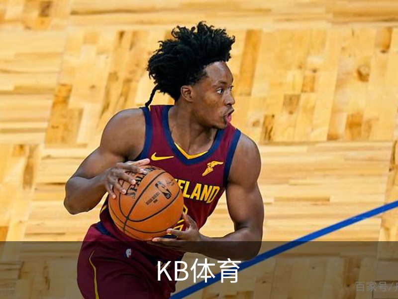 KB体育·(中国)官方网站-KBSPORTS